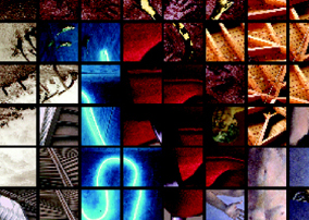 04. ENCICLOPEDIA / ALBUM