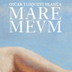 04. MARE MEVM