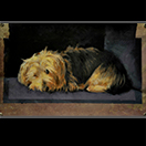 10. Pepe en el sofá